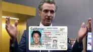 Nueva ley en California respaldada por Gavin Newsom autoriza que residentes e inmigrantes sin licencia de conducir trabajen en 2025