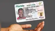 Florida: FLHSMV confirma que no le dará la Real ID a quienes no presenten estos documentos en 2025
