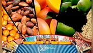 Exportaciones regionales del Perú crecieron casi 30% en el primer bimestre de 2025