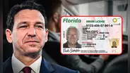 Licencia de conducir en Florida: la ley aprobada por Ron DeSantis que incrementa sanciones a conductores por este motivo