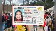 Los inmigrantes en EEUU que no podrán tener la licencia de conducir ni tramitar la Real ID en estos estados