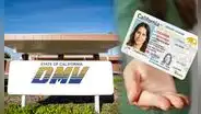 Real ID: DMV advierte que este grupo de personas no podrá acceder a la identificación en California