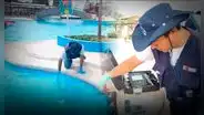 Detectan peligrosa ameba Acanthamoeba en piscinas públicas de Lambayeque: ordenan cierre preventivo