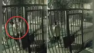 Delincuente asalta con pistola a joven para pedirle contraseñas de su celular en San Luis