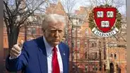 Harvard cambia nombre de su oficina de Diversidad tras congelamiento de fondos por parte de Donald Trump