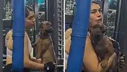 Joven llevó a su perrito al gimnasio y sorprende a usuarios con insólita razón: “Vio a su expapá”