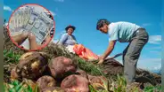 Nuevo bono de S/1.000 se entregará a estos beneficiarios en Perú: ¿cuáles son los requisitos para acceder al subsidio?