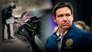 Esta nueva ley firmada por Ron DeSantis en Florida impone fuerte multa a conductores por común infracción vehicular