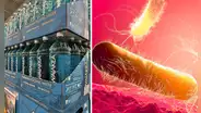 EE. UU. retira más de 4 mil cajas de agua embotellada por contaminación bacteriana en una famosa marca