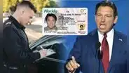 Ley firmada por Ron DeSantis en Florida aumenta las penas a conductores que no cumplan con esencial requisito vehicular