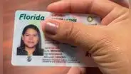 Florida: DMV anuncia contundente cambio para licencias de conducir de inmigrantes en 2025