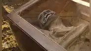Arqueólogos encontraron una momia en perfecto estado conservado con maderas y telas, pero tiene un ‘incómodo’ detalle