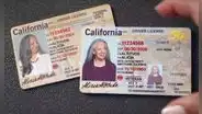 Todos menos este grupo de inmigrantes podrá tramitar la Real ID en California, según DMV