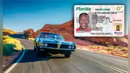 Conducir sin Real ID en EEUU: estos estados permiten a los conductores manejar sin el documento