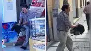 Gallinazo entra a óptica en el Centro de Lima y reacción del dueño sorprende: “Quería visión de águila”