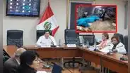 Masacre en Pataz: Comisión de Energía y Minas citará a Poderosa, R&R y tres ministros de Estado
