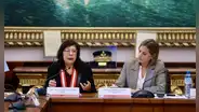Janet Tello criticó que el Senado elija a jueces supremos, pero María de Carmen Alva se opone: "Así era en los 80, estaba mi tío"