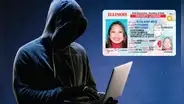 Alerta de estafas en trámites de Real ID: Better Business Bureau advierte sobre posibles webs fraudulentas que prometen agilizar el proceso