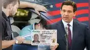 Esta ley firmada en Florida por Ron DeSantis impone fuerte sanción a las licencias de conducir de otros estados