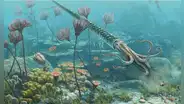 Paleontólogos peruanos descubren que un animal marino vivió en lo que ahora es Cusco hace 470 millones de años