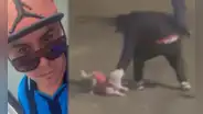 Indignación en Trujillo: sujeto golpea brutalmente a un perrito cerca del centro histórico, vecinos grabaron el ataque