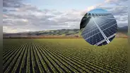 Agricultor transforma su vida alquilando sus tierras a plantas solares: de 100 a 1.900 euros por hectárea