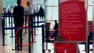 Pasajeros captan una rata en sala de abordaje de aeropuerto en Perú y en redes bromean: “Corre para no perder su vuelo”