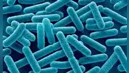 ¡Pésimas noticias para California y Nevada! Peligrosa bacteria fue encontrada en productos de empresa de alimentos