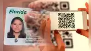 Miami-Dade lanza nuevo sistema de citas para obtener la licencia de conducir y evitar colas interminables