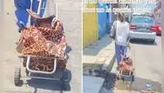 Adulta mayor sorprende al colocar a su nieta en carrito de mercado: “Abuelita que resuelve”