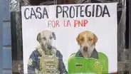 Tienda coloca divertido cartel con la fotografía de sus perritos y son furor en redes: “Protegida por la PNP”