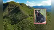 Crean nueva área de conservación en Cajamarca: es hábitat de especies amenazadas, como osos de anteojos, pumas y tigrillos