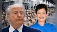 Atención, inmigrantes en EEUU: jueza exige al gobierno de Trump demostrar pruebas en caso clave sobre deportaciones