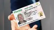 Cambia la licencia de conducir en Florida: conoce los nuevos precios que solicita el FLHSMV para sacar el permiso