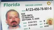 Miami-Dade: FLHSMV establece que este grupo de conductores deberá renovar su licencia de conducir cada año