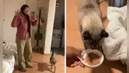 Peruana revela cuánto gana por cuidar gatos a domicilio en Lima y sorprende con la cifra: “Es por hora”