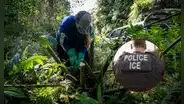 Más redadas del ICE en EEUU: esta es la inesperada isla donde se arrestan y deportan inmigrantes latinos