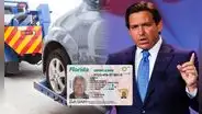 Enmienda de Ron DeSantis a vigente ley en Florida ordena suspender las licencias e incautar vehículos a conductores