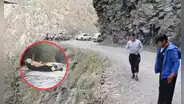 Bus cae al río Inambari en Puno tras despistarse: al menos 10 personas habrían fallecido según reportes