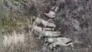 Interceptan orden rusa que revela ejecuciones de prisioneros de guerra en Ucrania: “Maten a los demás”