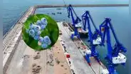 Estos productos de Sudamérica llegan a China a través del Megapuerto de Chancay: artículos arriban con mayor volumen al mercado chino