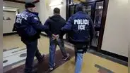 Duro golpe del ICE: reportan arrestos dentro de los tribunales de inmigración en esta ciudad santuario de EEUU