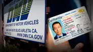 Obtén la Real ID gratis en California: DMV establece programa para obtener el documento gratis en 2025