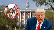 Estudiar en Harvard costará más de US$86.000 al año tras fallo del gobierno de Trump para estudiantes extranjeros