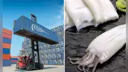 Corea del Sur supera a China como destino de exportación de este exquisito producto marino del Perú en 2025