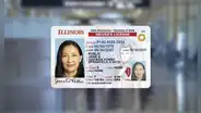 Así de rápido puedes obtener la Real ID en Chicago: conoce las oficinas del DMV donde tramitar la identificación sin cita previo
