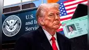 Trump, USCIS y sus muy malas noticias para inmigrantes en EEUU: prohibirán renovar la Green Card a este grupo por una razón