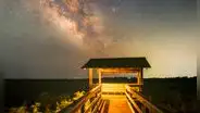 El enorme y hermoso bosque de Florida, conocido como "el infierno", al que varios turistas visitan para pescar y hacer kayak