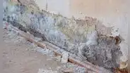 ¿Cómo prevenir el salitre de las paredes de tu casa y prevenir daños estructurales?: guía práctica para proteger tu vivienda