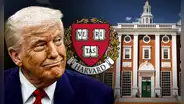 ¿Trump eliminará fondos federales para Harvard? Así avanza el caso tras fallo del Gobierno de EEUU contra la prestigiosa universidad